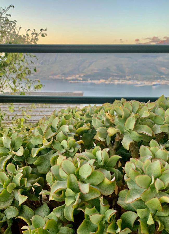 Aggelos And Thisbe Chania Suburbs Sea View Guest House エクステリア 写真